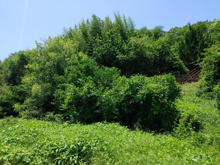 경상남도 밀양시 용평동 439-2 묘지 경매 사진 4
