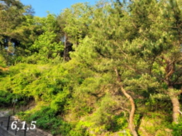 경기도 양평군 서종면 수입리 168-7 주택 경매 사진 12