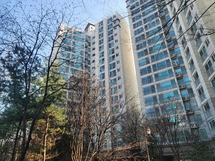 서울특별시 영등포구 도림천로 431, 제105동 제11층 제1102호 (대림동, 신대림 한솔 솔파크)구) 서울특별시 영등포구 대림동 1123 아파트 경매 사진 4