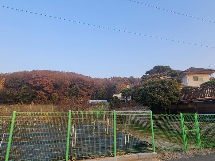 경기 용인시 임야