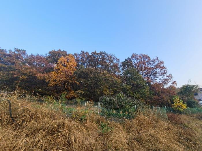 경기도 용인시 처인구 남사읍 북리 산100 임야 경매 사진 3