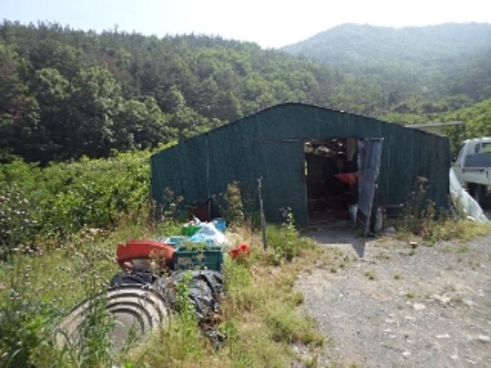 경상남도 밀양시 상남면 동산리 1023 임야 경매 사진 25