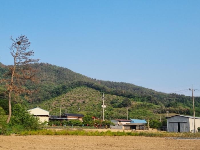 경상남도 밀양시 상남면 동산리 1023 임야 경매 사진 8