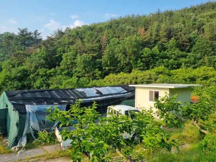 경상남도 밀양시 상남면 동산리 1023 임야 경매 사진 9