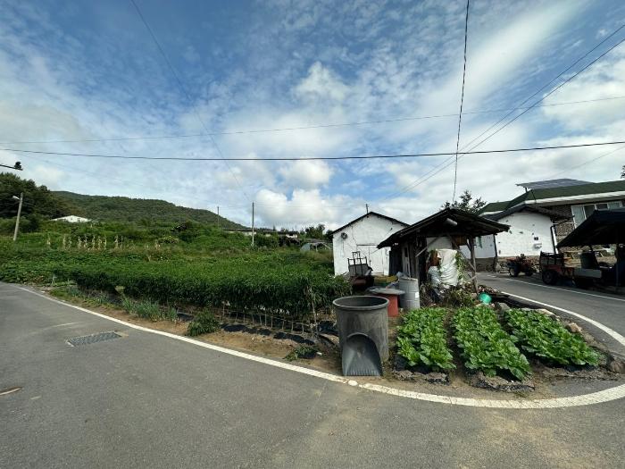 충청북도 증평군 도안면 노암리 530-1 전 경매 사진 1