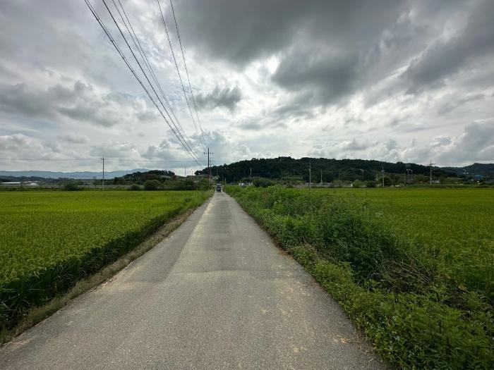 충청북도 증평군 도안면 노암리 530-1 전 경매 사진 13