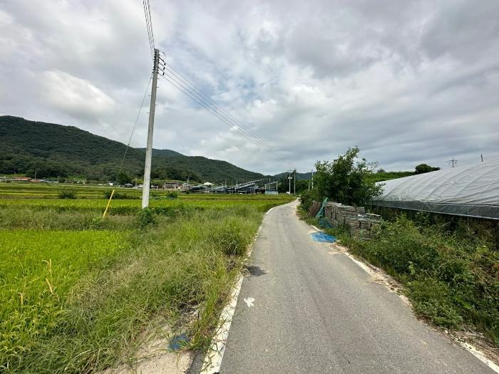 충청북도 증평군 도안면 노암리 530-1 전 경매 사진 14