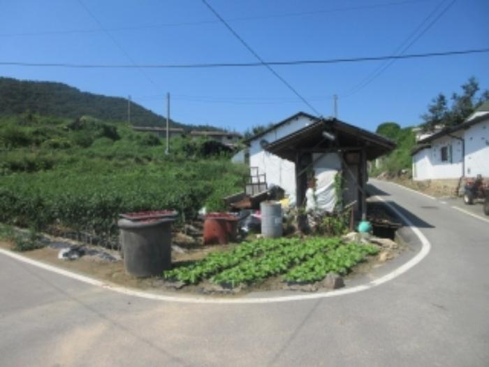 충청북도 증평군 도안면 노암리 530-1 전 경매 사진 17