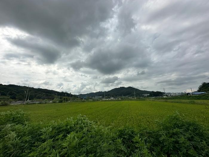 충청북도 증평군 도안면 노암리 530-1 전 경매 사진 3