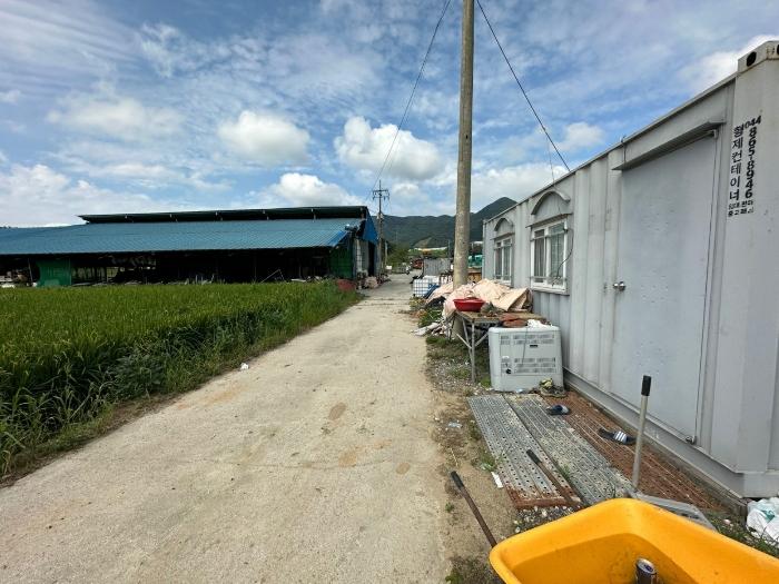 충청북도 증평군 도안면 노암리 530-1 전 경매 사진 7