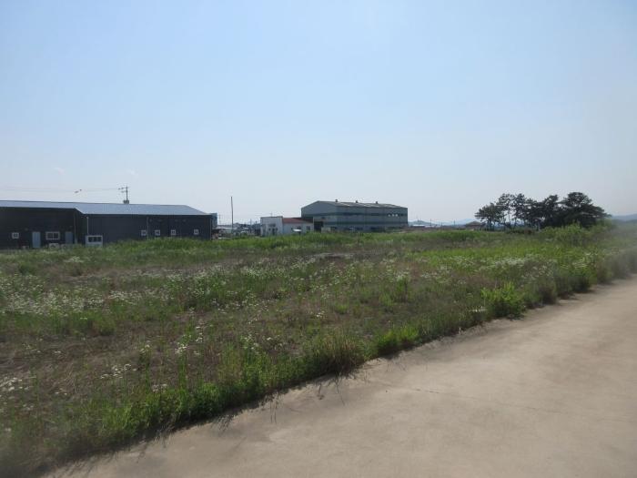 경상북도 의성군 안계면 용기리 980-16 공장 경매 사진 5