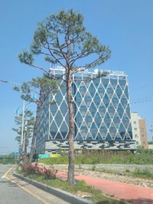 전라남도 나주시 빛가람로 36, 6층629호 (송월동,엠스테이호텔나주)구) 전라남도 나주시 송월동 1483 콘도(호텔) 경매 사진 9