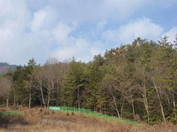 전라남도 강진군 군동면 파산리 산140 임야 경매 사진 3