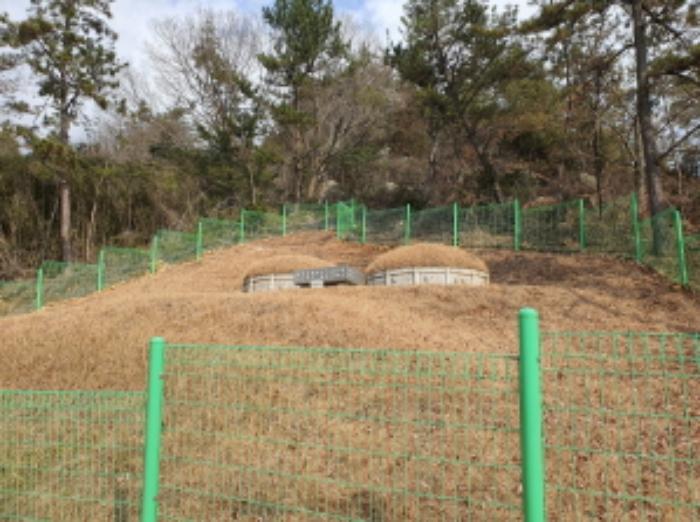 전라남도 강진군 군동면 파산리 산140 임야 경매 사진 4