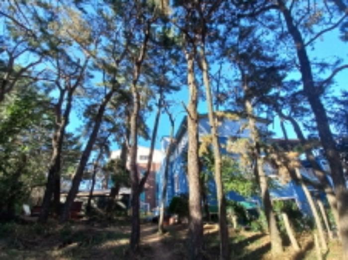 경상남도 진주시 이현동 124-1 묘지 경매 사진 18