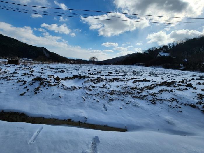 충남 예산군 답