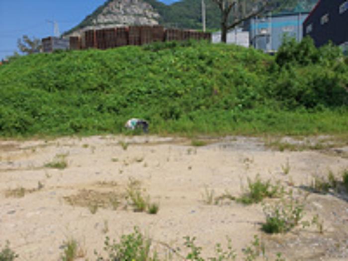 경상남도 김해시 상동면 매리 538 임야 경매 사진 11