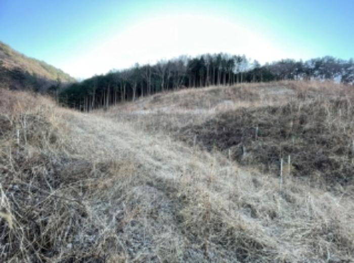 경상남도 사천시 실안동 산246 임야 경매 사진 6