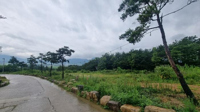 경상남도 거창군 가조면 수월리 1072-14 양어장 경매 사진 12