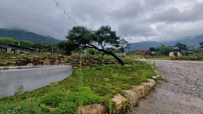 경상남도 거창군 가조면 수월리 1072-14 양어장 경매 사진 16