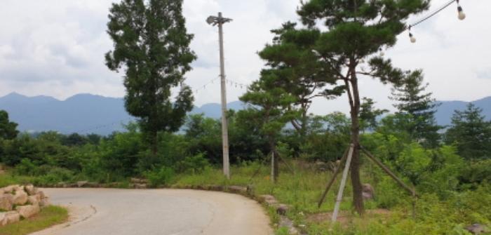 경상남도 거창군 가조면 수월리 1072-14 양어장 경매 사진 21