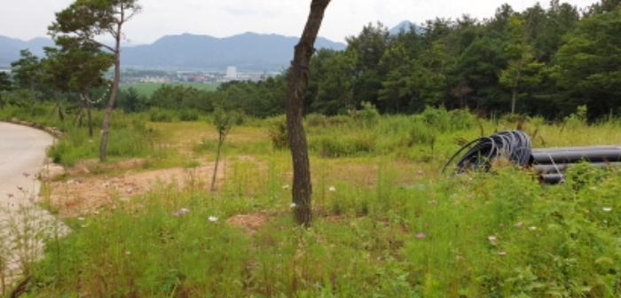 경상남도 거창군 가조면 수월리 1072-14 양어장 경매 사진 27