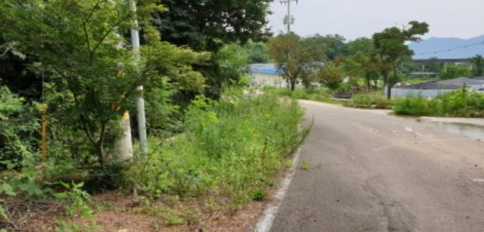 경상남도 거창군 가조면 수월리 1072-14 양어장 경매 사진 34