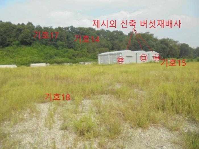 충청북도 음성군 생극면 관성리 783-14 전 경매 사진 16
