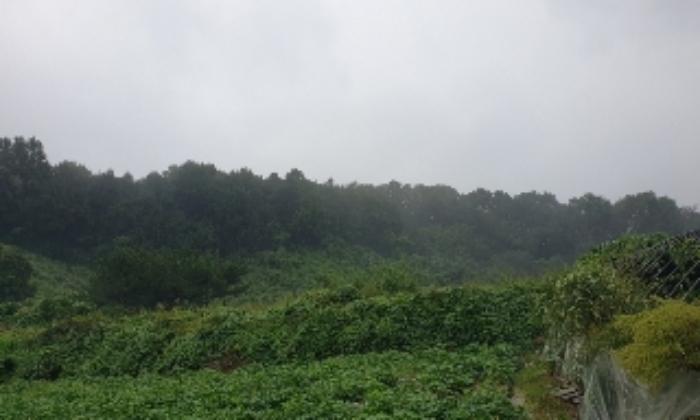 충청북도 음성군 생극면 관성리 783-14 전 경매 사진 30