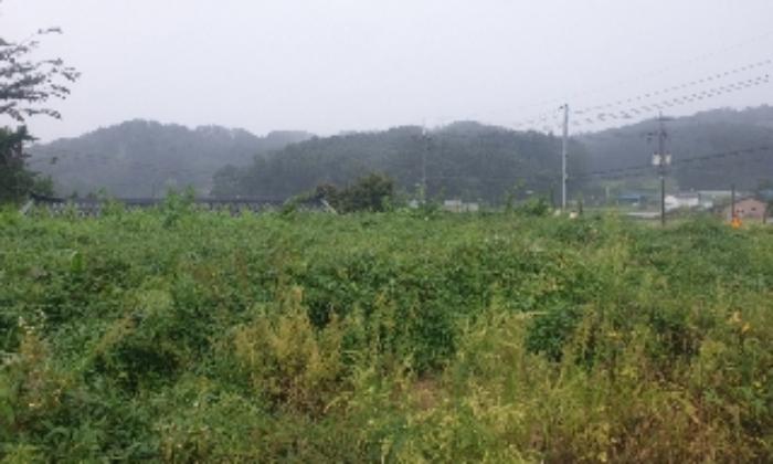 충청북도 음성군 생극면 관성리 783-14 전 경매 사진 32
