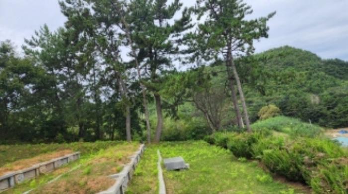 전라남도 여수시 돌산읍 우두리 516-19 임야 경매 사진 18