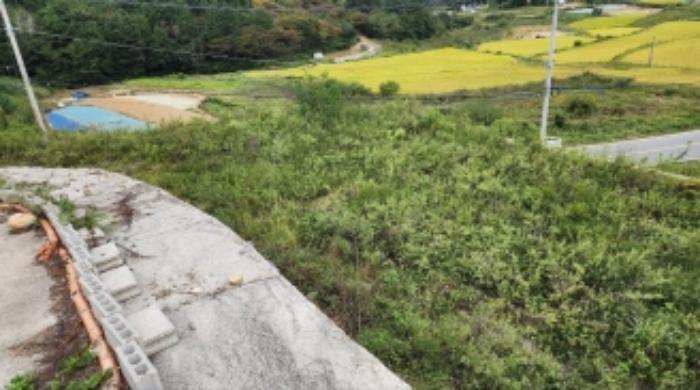 전라남도 여수시 돌산읍 우두리 516-19 임야 경매 사진 23