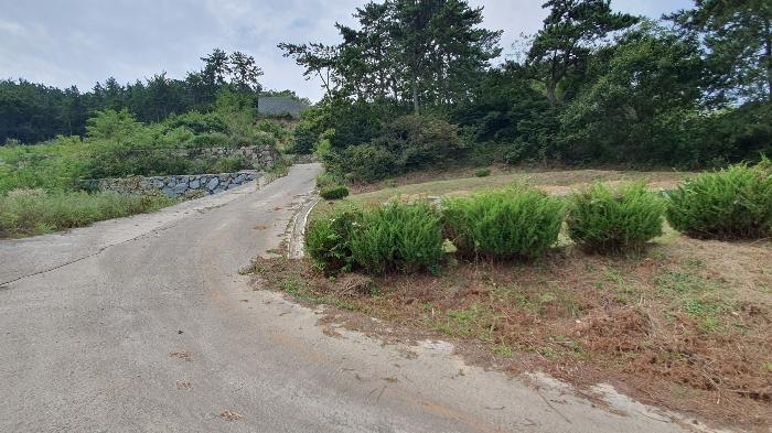 전라남도 여수시 돌산읍 우두리 516-19 임야 경매 사진 8