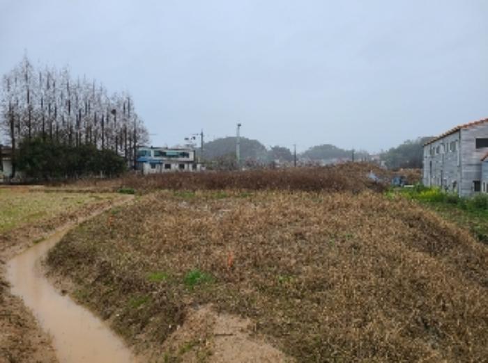 광주광역시 북구 월출동 91 답 경매 사진 5