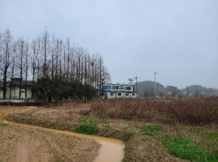 광주광역시 북구 월출동 91 답 경매 사진 6