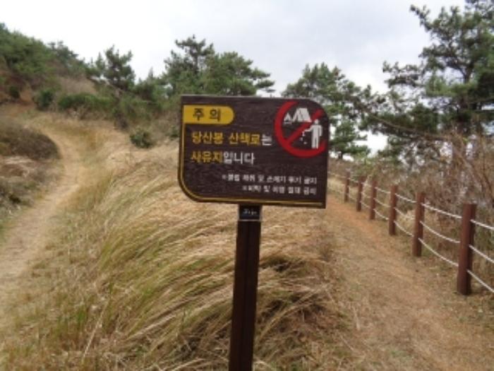 제주특별자치도 제주시 한경면 고산리 산14 임야 경매 사진 3