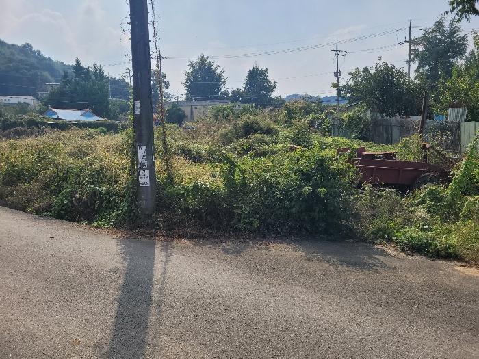 경기도 평택시 진위면 가곡리 60 대지 경매 사진 2