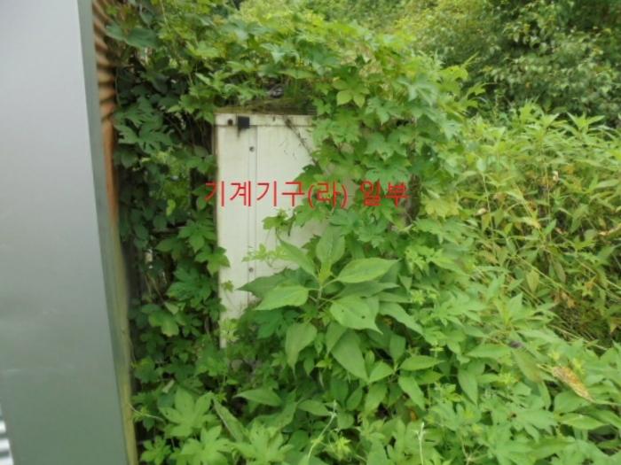 충청북도 충주시 앙성면 용대리 산17 창고 경매 사진 18