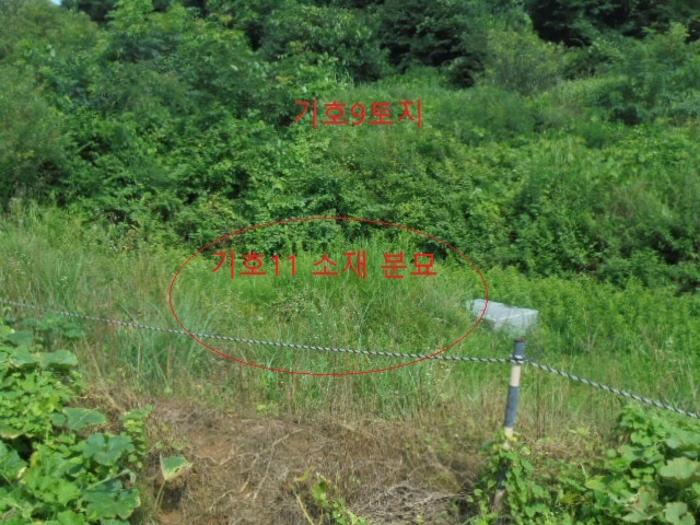 충청북도 충주시 앙성면 용대리 산17 창고 경매 사진 25