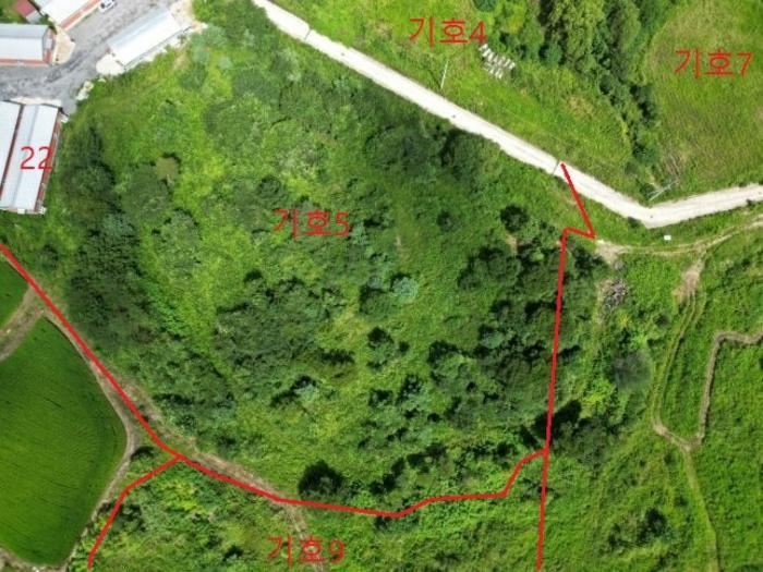 충청북도 충주시 앙성면 용대리 산17 창고 경매 사진 5