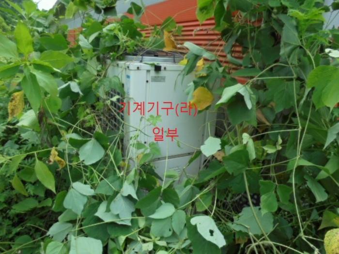 충청북도 충주시 앙성면 용대리 산17 창고 경매 사진 56