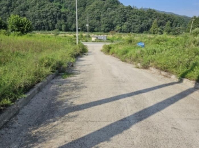 충청북도 충주시 앙성면 용대리 산17 창고 경매 사진 76