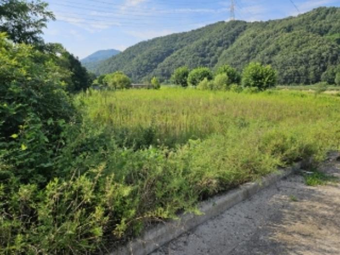 충청북도 충주시 앙성면 마련리 산1-9 임야 경매 사진 75