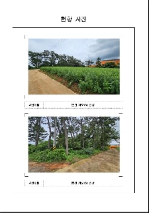 전라남도 영암군 삼호읍 산호리 442-2 전 경매 사진 11