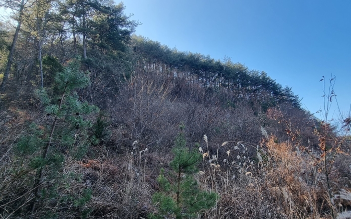 경상남도 하동군 적량면 동리 993-2 교육시설 경매 사진 12