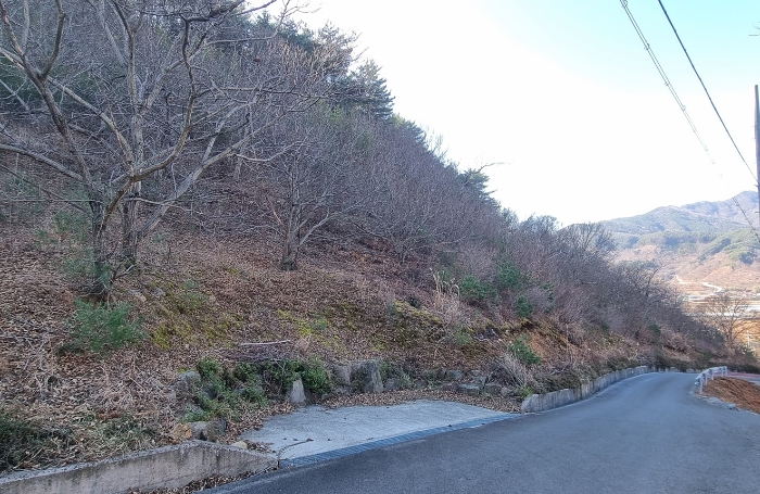 경상남도 하동군 적량면 동리 993-2 교육시설 경매 사진 14