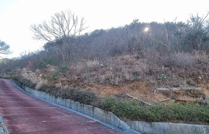 경상남도 하동군 적량면 동리 993-2 교육시설 경매 사진 16