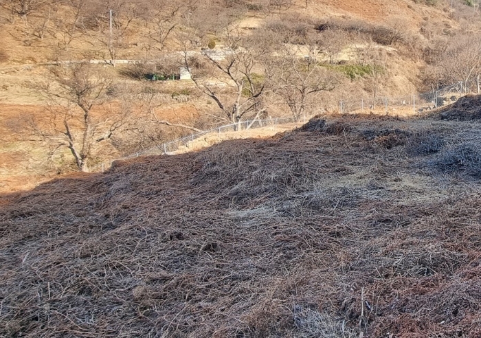경상남도 하동군 적량면 동리 993-2 교육시설 경매 사진 18