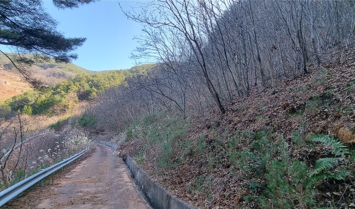 경상남도 하동군 적량면 동리 993-2 교육시설 경매 사진 22