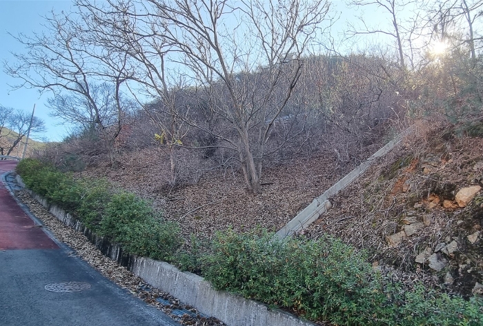 경상남도 하동군 적량면 동리 993-2 교육시설 경매 사진 3